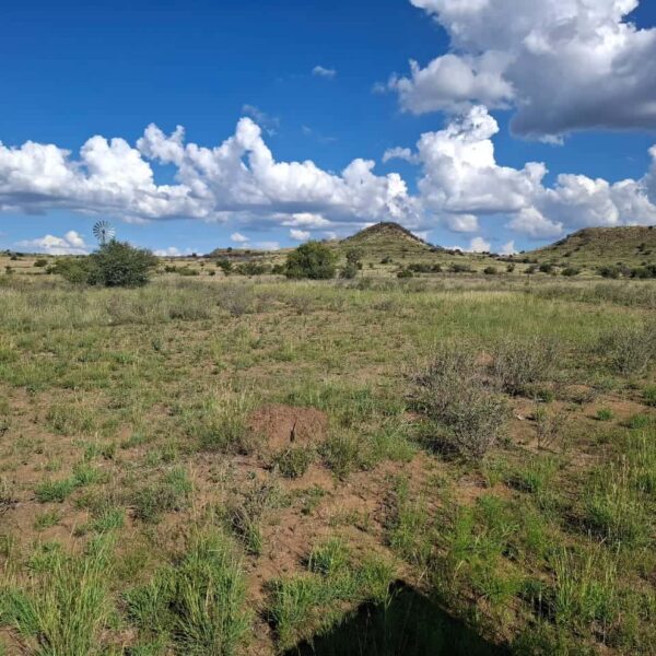 IMG-20250306-WA0017 ±36.98HA PRIME DEVELOPMENT LAND – STRATEGIC LOCATION ON N1 & M30, BLOEMFONTEIN